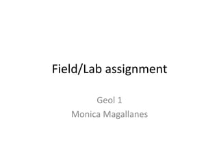 Field/Lab assignment Geol 1 Monica Magallanes 