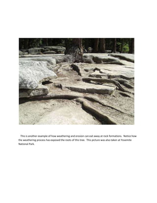 Field lab assignment Part Two