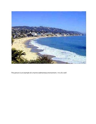 Field lab assignment Part Two