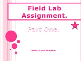 Field Lab Assignment. Part One. Jessica Lynn Anderson 