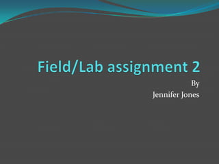 Field/Lab assignment 2 By  Jennifer Jones 