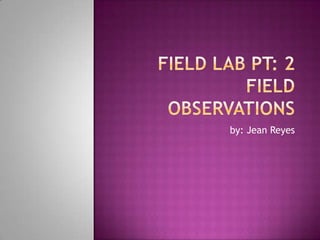 Field Lab pt: 2Field Observationsby: Jean Reyes