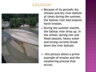 		 ErosionBecause of its periodic dry climate and dry river bottom at times during the summer, the Salinas river bed endures harsh erosion.During the summer months the Salinas river dries up. In the winter, during rain and flood seasons, heavy water and strong currents break down the river bottom.-this picture shows a prime example of erosion and the weathering process that occurs.