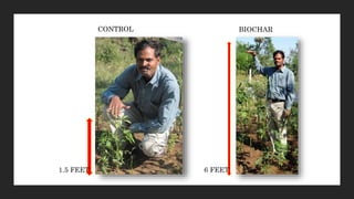 1.5 FEET 6 FEET
CONTROL BIOCHAR
 