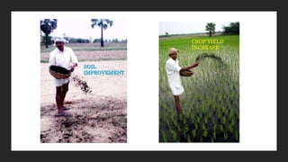 CROP YIELD
INCREASE
SOIL
IMPROVEMENT
 