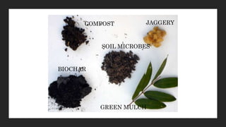 JAGGERY
COMPOST
BIOCHAR
SOIL MICROBES
GREEN MULCH
 