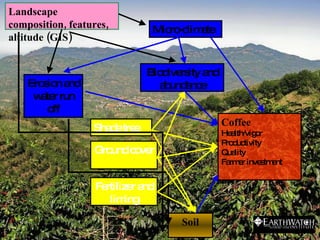 Field Methodology Explained Lucia 170608 | PPT