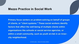 Mezzo System Examples Field of Social Work- System SWLevel.pptx