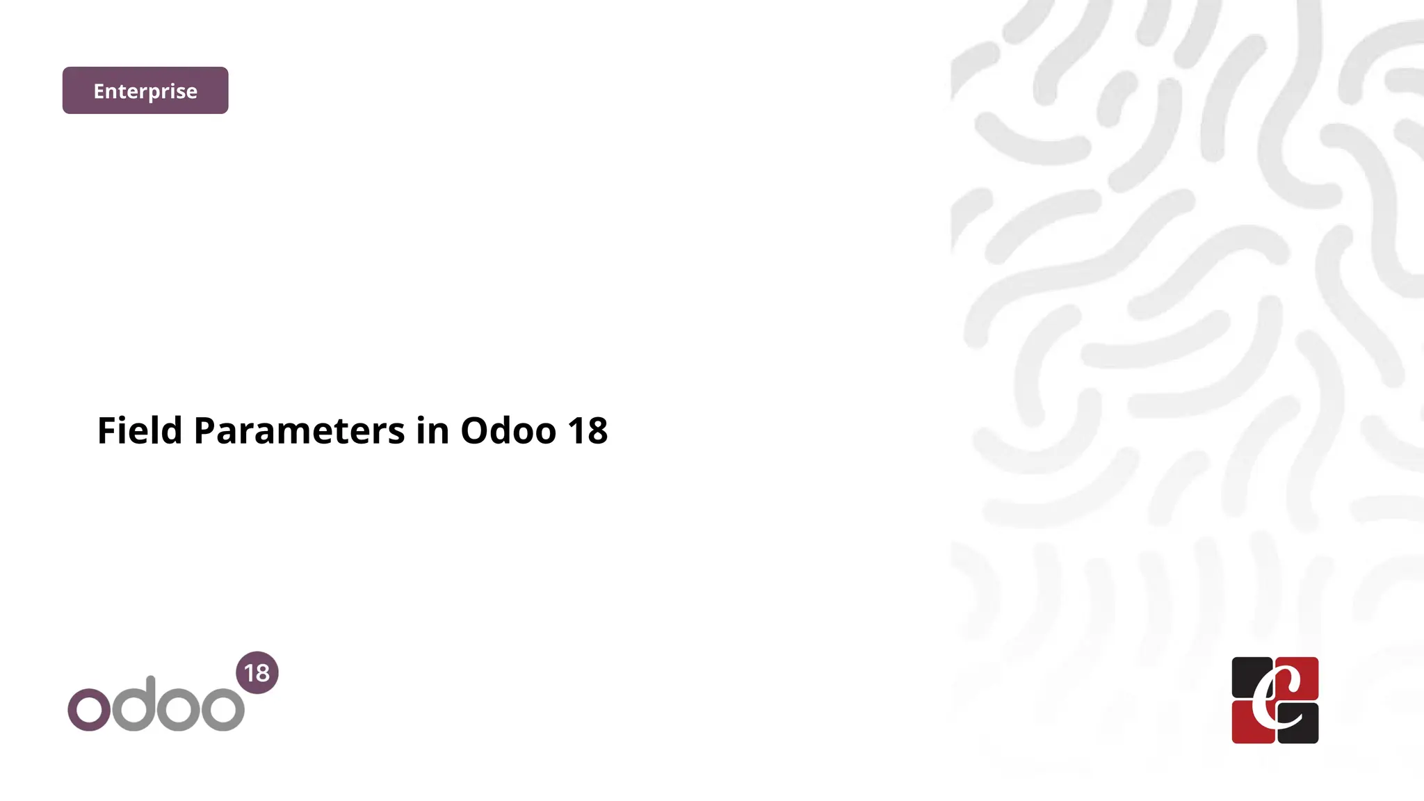 Field Parameters in Odoo 18
Enterprise
 