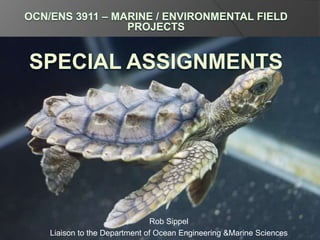 Rob Sippel
Liaison to the Department of Ocean Engineering &Marine Sciences
 