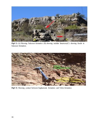 19
Fig# 2: (A) Showing Sakessor formation (B) showing nodular limestone(C) showing fossils in
Sakessor formation.
Fig# 3) Showing contact between baghanwala formation and Tobra formation
 