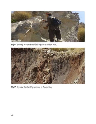 42
Fig#6: Showing Warcha Sandstone exposed in Zaluch Nala.
Fig#7: Showing Sardhai Clay exposed in Zaluch Nala
 