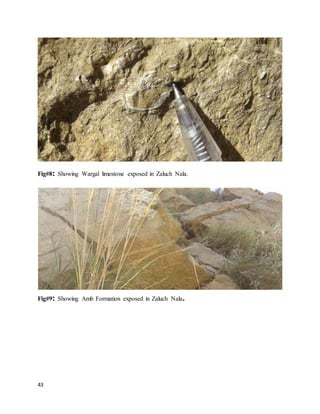 43
Fig#8: Showing Wargal limestone exposed in Zaluch Nala.
Fig#9: Showing Amb Formation exposed in Zaluch Nala.
 