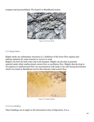 Geological Field Report On Sitakund Anticline Chittagong, Bangladesh | PDF