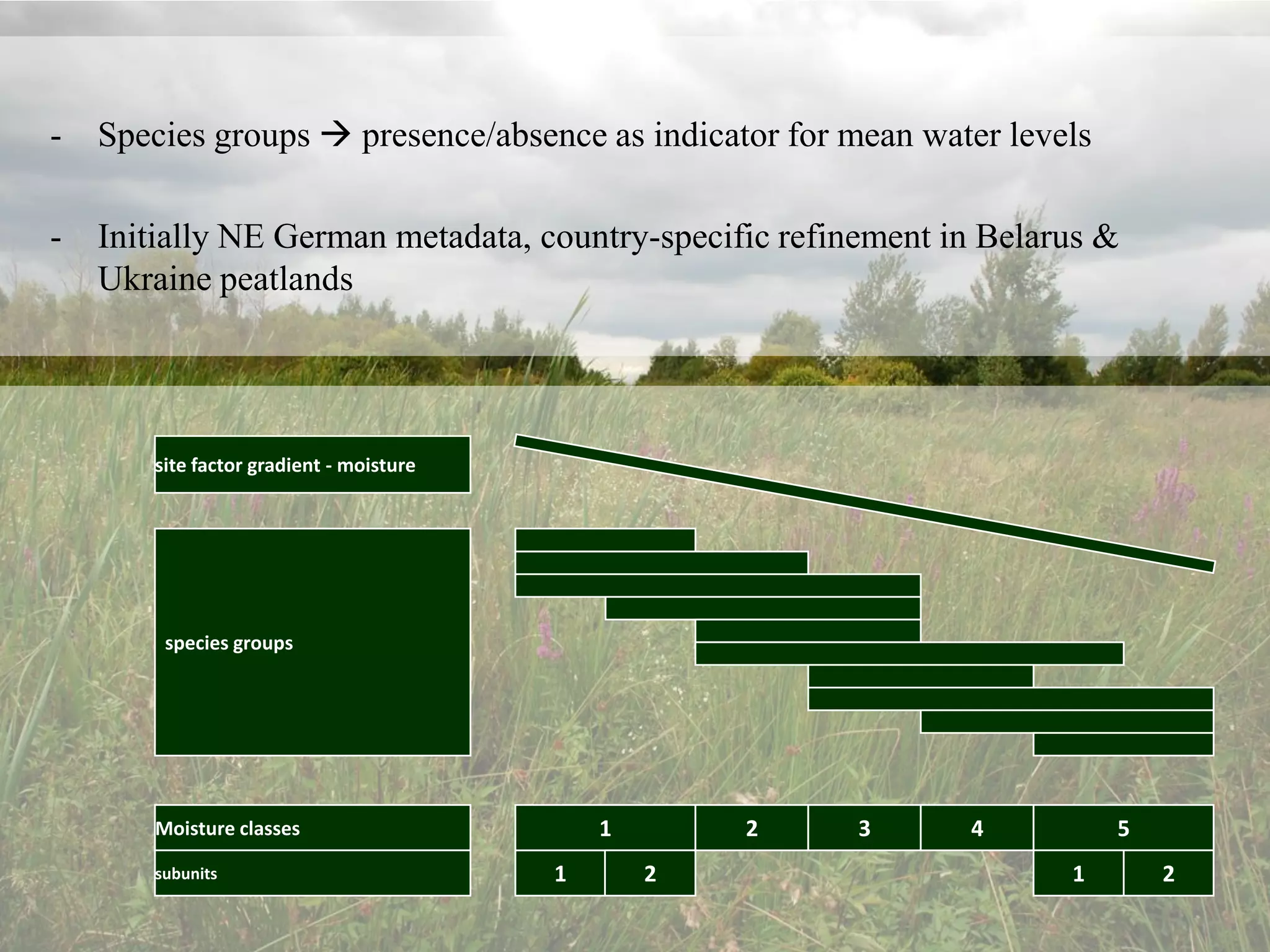 -   Species groups  presence/absence as indicator for mean water levels

-   Initially NE German metadata, country-specific refinement in Belarus &
    Ukraine peatlands




       site factor gradient - moisture




        species groups




       Moisture classes                      1       2   3     4           5
       subunits                          1       2                    1        2
 