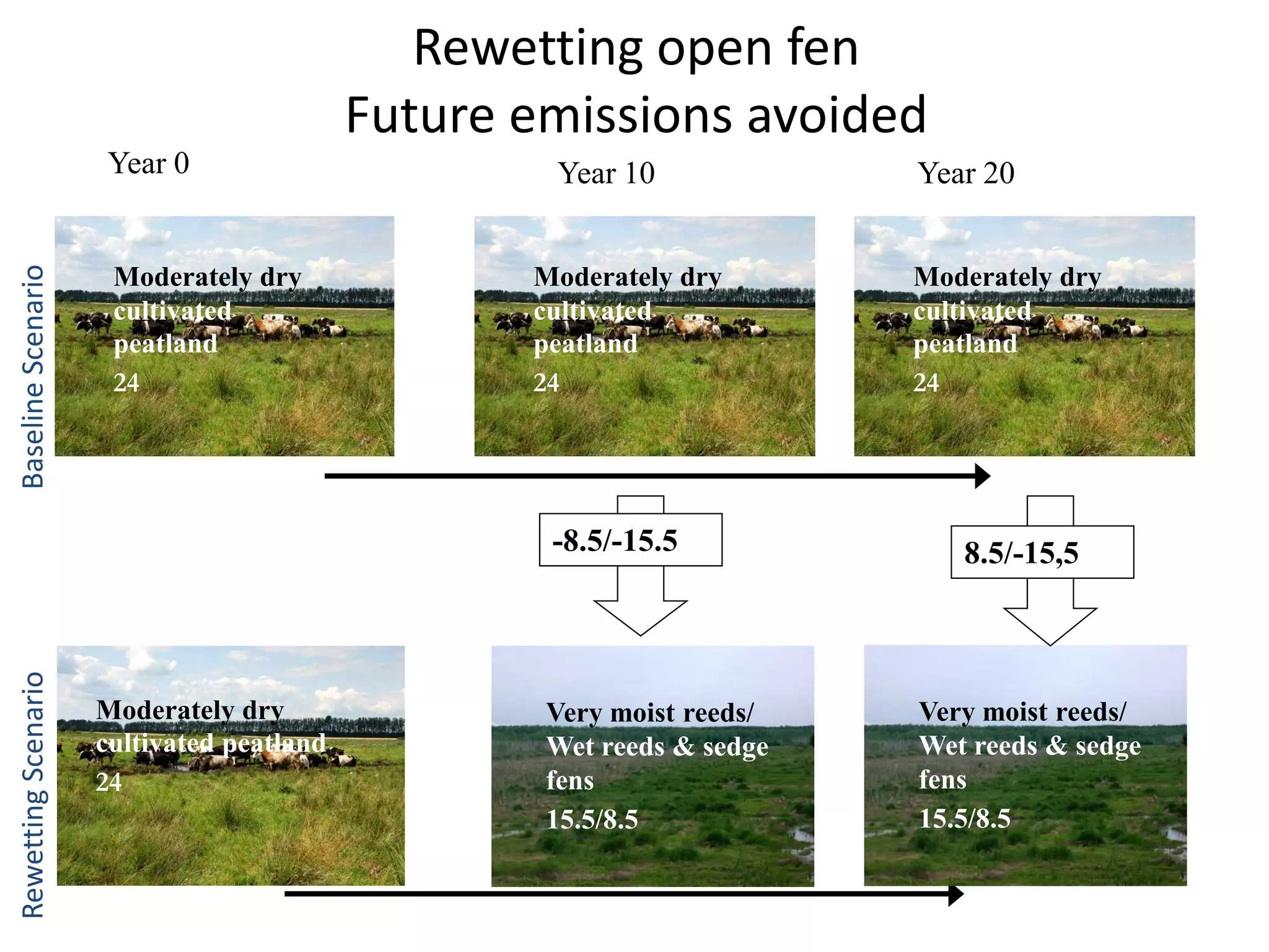 Rewetting open fen
                                           Future emissions avoided
                      Year 0                       Year 10             Year 20
Baseline Scenario




                      Moderately dry              Moderately dry       Moderately dry
                      cultivated                  cultivated           cultivated
                      peatland                    peatland             peatland
                      24                          24                   24




                                                   -8.5/-15.5             8.5/-15,5
Rewetting Scenario




                     Moderately dry                Very moist reeds/   Very moist reeds/
                     Moderately dry
                     cultivated peatland          Very moist & sedge    Very moist
                                                                       Wet reeds & sedge
                                                   Wet reeds
                     cultivated                   reeds and Wet        fens and Wet
                                                                        reeds
                     24                            fens
                     peatland                     reed/sedge fens       reeds/sedge
                                                   15.5/8.5            15.5/8.5
                     24                                                 fens
 