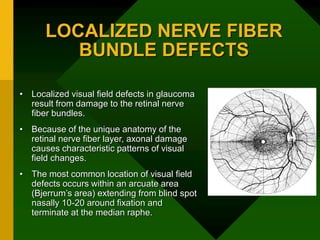 LOCALIZED NERVE FIBER
BUNDLE DEFECTS
• Localized visual field defects in glaucoma
result from damage to the retinal nerve
fiber bundles.
• Because of the unique anatomy of the
retinal nerve fiber layer, axonal damage
causes characteristic patterns of visual
field changes.
• The most common location of visual field
defects occurs within an arcuate area
(Bjerrum’s area) extending from blind spot
nasally 10-20 around fixation and
terminate at the median raphe.
 