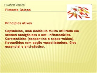 Pimenta Caiena Princípios ativos Capsaicina, uma molécula muito utilizada em cremes analgésicos e anti-inflamatórios. Carotenóides (capsantina e capsorrubina), flavonóides com acção vasodilatadora, óleo essencial e anti-séptico. 