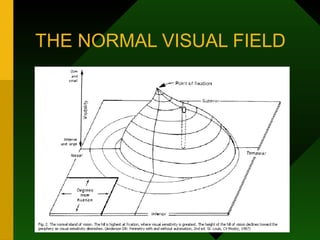 THE NORMAL VISUAL FIELD
 
