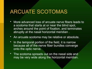 ARCUATE SCOTOMAS
• More advanced loss of arcuate nerve fibers leads to
a scotoma that starts at or near the blind spot,
arches around the point of fixation, and terminates
abruptly at the nasal horizontal meridian .
• An arcuate scotoma may be relative or absolute.
• In the temporal portion of the field, it is narrow
because all of the nerve fiber bundles converge
onto the optic nerve.
• The scotoma spreads out on the nasal side and
may be very wide along the horizontal meridian.
 