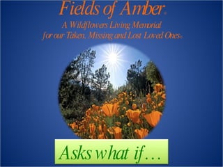 Fields of Amber © A Wildflowers Living Memorial for our Taken, Missing and Lost Loved Ones © Asks what if… 