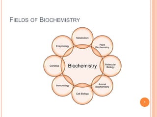 FIELDS OF BIOCHEMISTRY
Biochemistry
Metabolism
Plant
Biochemistry
Molecular
Biology
Animal
Biochemistry
Cell Biology
Immunology
Genetics
Enzymology
1
 