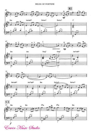 Fields of fortume violin