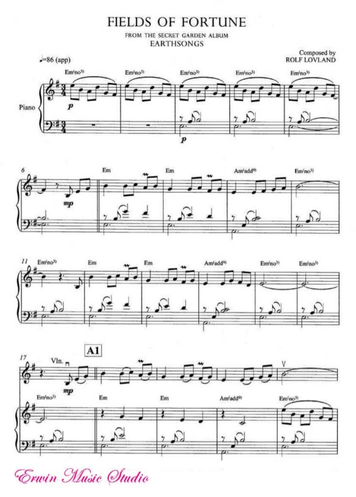 Fields Of Fortume Violin slideshare