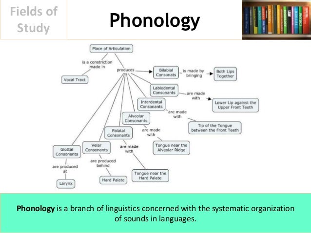 What Is Linguistics And Why Study It The Department Of What Is Linguistics And Why Study It The Department Of