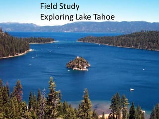 Field Study Exploring Lake Tahoe 