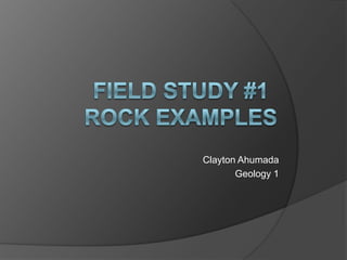 Field Study #1Rock Examples Clayton Ahumada Geology 1 
