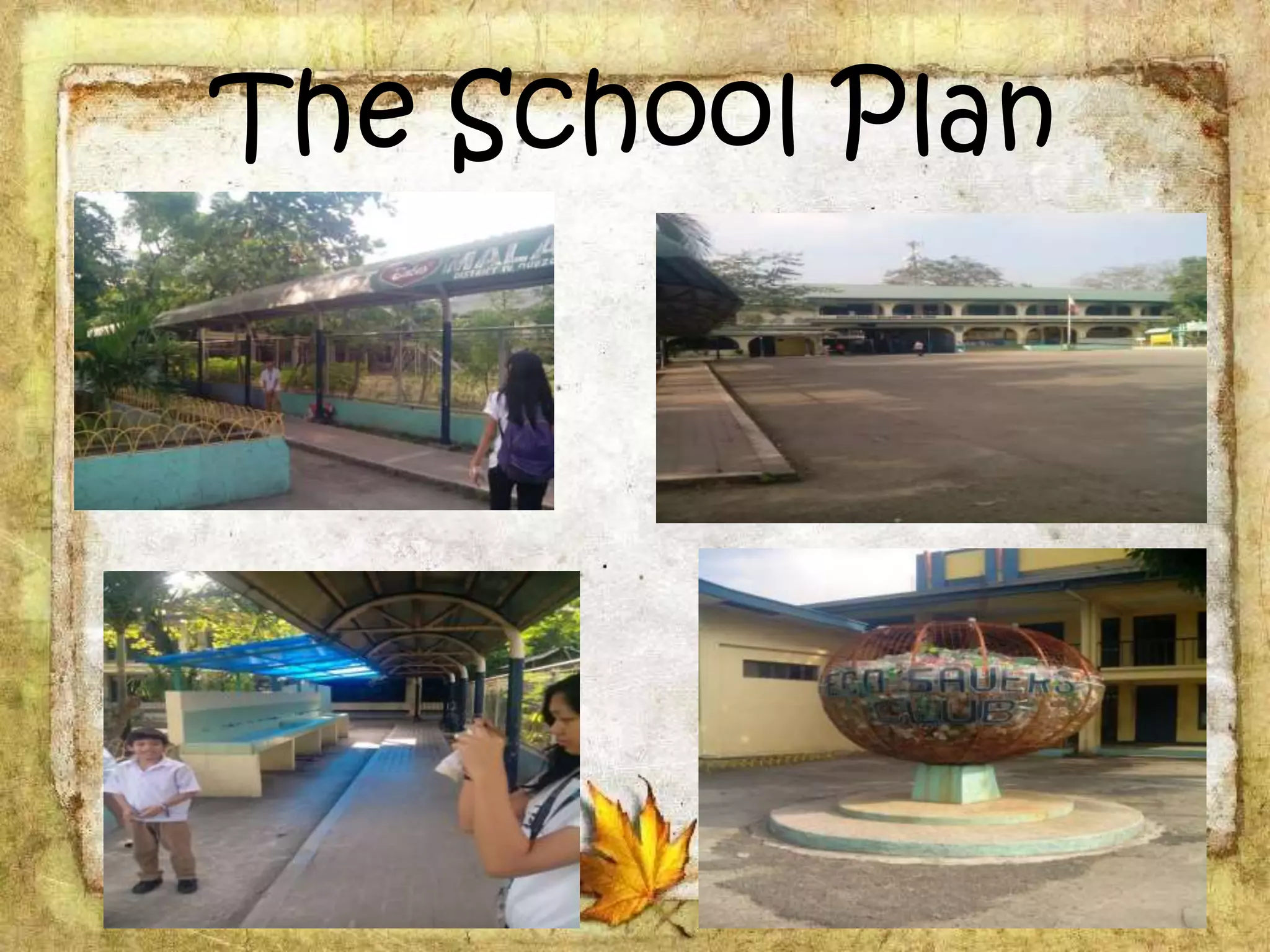The School Plan
 