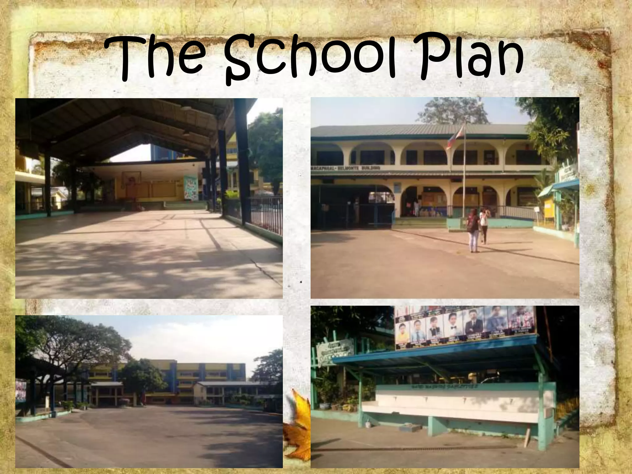 The School Plan
 
