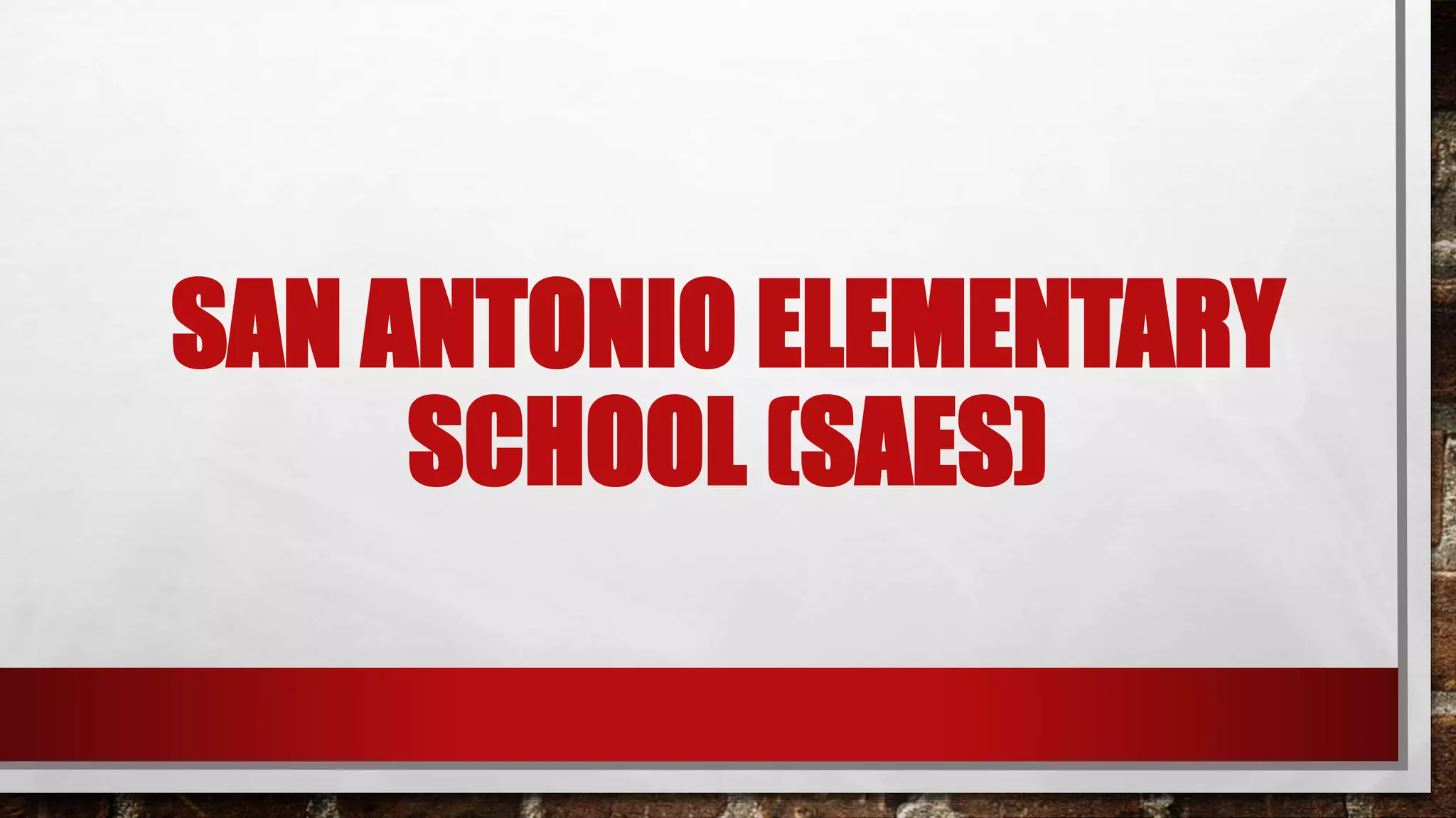SAN ANTONIO ELEMENTARY
SCHOOL (SAES)
 