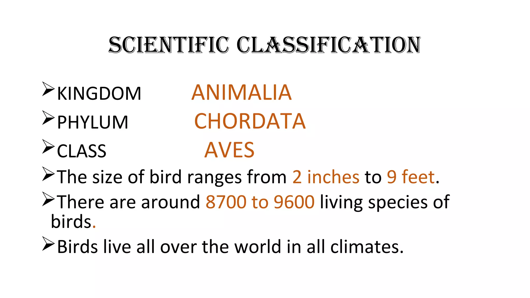 Field study of birds | PPT
