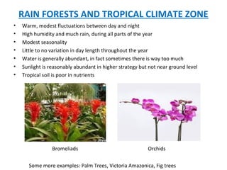RAIN FORESTS AND TROPICAL CLIMATE ZONE
• Warm, modest fluctuations between day and night
• High humidity and much rain, during all parts of the year
• Modest seasonality
• Little to no variation in day length throughout the year
• Water is generally abundant, in fact sometimes there is way too much
• Sunlight is reasonably abundant in higher strategy but not near ground level
• Tropical soil is poor in nutrients
Bromeliads Orchids
Some more examples: Palm Trees, Victoria Amazonica, Fig trees
 
