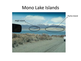 Mono Lake IslandsPacha IslandNegit Island