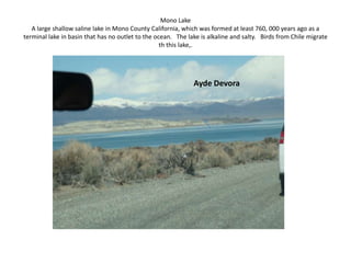 Mono LakeA large shallow saline lake in Mono County California, which was formed at least 760, 000 years ago as a terminal lake in basin that has no outlet to the ocean.   The lake is alkaline and salty.   Birds from Chile migrate th this lake,. Ayde Devora