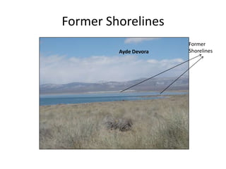 Former ShorelinesFormer ShorelinesAyde Devora