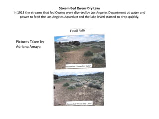 Stream Bed Owens Dry LakeIn 1913 the streams that fed Owens were diverted by Los Angeles Department ot water and power to feed the Los Angeles Aqueduct and the lake leverl started to drop quickly. Pictures Taken by Adriana Amaya