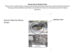 Metate Holes & Obsidian FlakesThese rocks are called metates and were used for plant processing. Holes were used by the Native Americans.The large scattered obsidian waste flakes are the debri fron stone tool manufacturing from the Native Americans.   Metate HolePictures Taken by Adriana Amaya