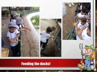 Feeding the ducks!
 