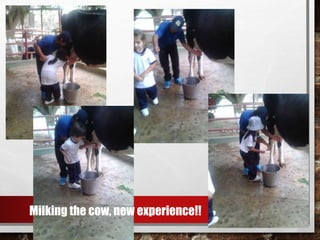 Milking the cow, new experience!!
 