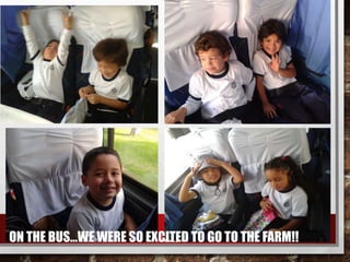 ON THE BUS…WE WERE SO EXCITED TO GO TO THE FARM!!
 
