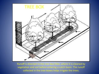 Runoff is directed to the tree box filter, where it is cleaned by
vegetation and soil before entering a catch basin. The runoff
collected in the tree-boxes helps irrigate the trees.
TREE BOX
 