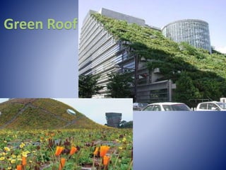 Green Roof
 