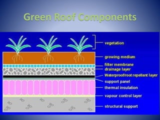 Green Roof Components
 