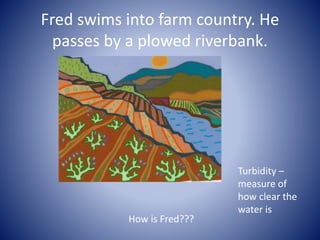 Fred swims into farm country. He
passes by a plowed riverbank.
How is Fred???
Turbidity –
measure of
how clear the
water is
 