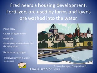 Fred nears a housing development.
Fertilizers are used by farms and lawns
are washed into the water
How is Fred????
Plants grow
Causes an algae bloom
Plants die
Decomposers break down the
decaying plants
Bacteria use up oxygen
Dissolved oxygen in water
decreases
Dissolved oxygen, Phosphate and
Nitrate
 