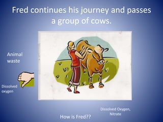 Fred continues his journey and passes
a group of cows.
How is Fred??
Dissolved Oxygen,
Nitrate
Animal
waste
Dissolved
oxygen
 